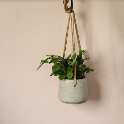 Small cement hanging planter in stone with beige rope looped over a hook