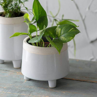 White ceramic plant pot with legs, small size pictured in front