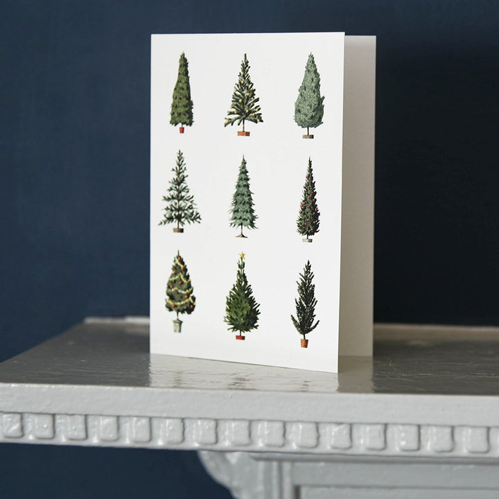 Stonehouse Collection Coastal Christmas Cards – 18 Weihnachtskarten Mit Umschlägen, 5x7 Zoll, USA-made