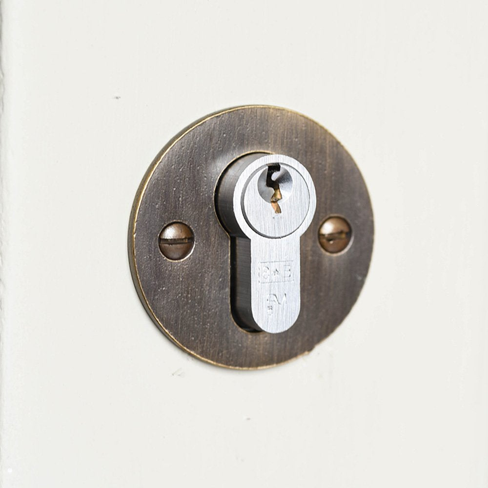 Solid brass circular escutcheon with distressed antique brass finish, mounted over euro cylinder lock.