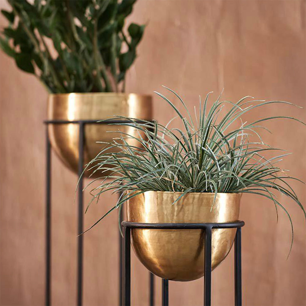 Two Hammered Antique Brass Bowl Planters with Black Iron Stand