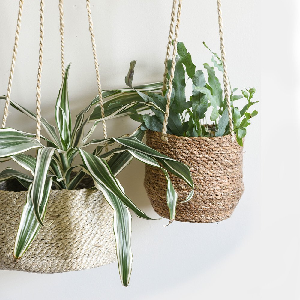 indoor plant hangers uk Indoor Hanging Baskets