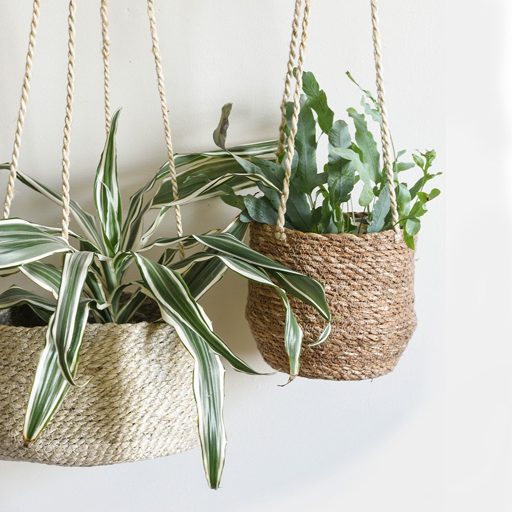 Close up of tapered jute hanging planter (left) and short seagrass hanging planter (right)