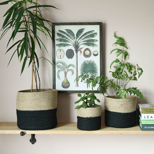 basket plant pot Woven Plant Basket |Natural Plant Pots
