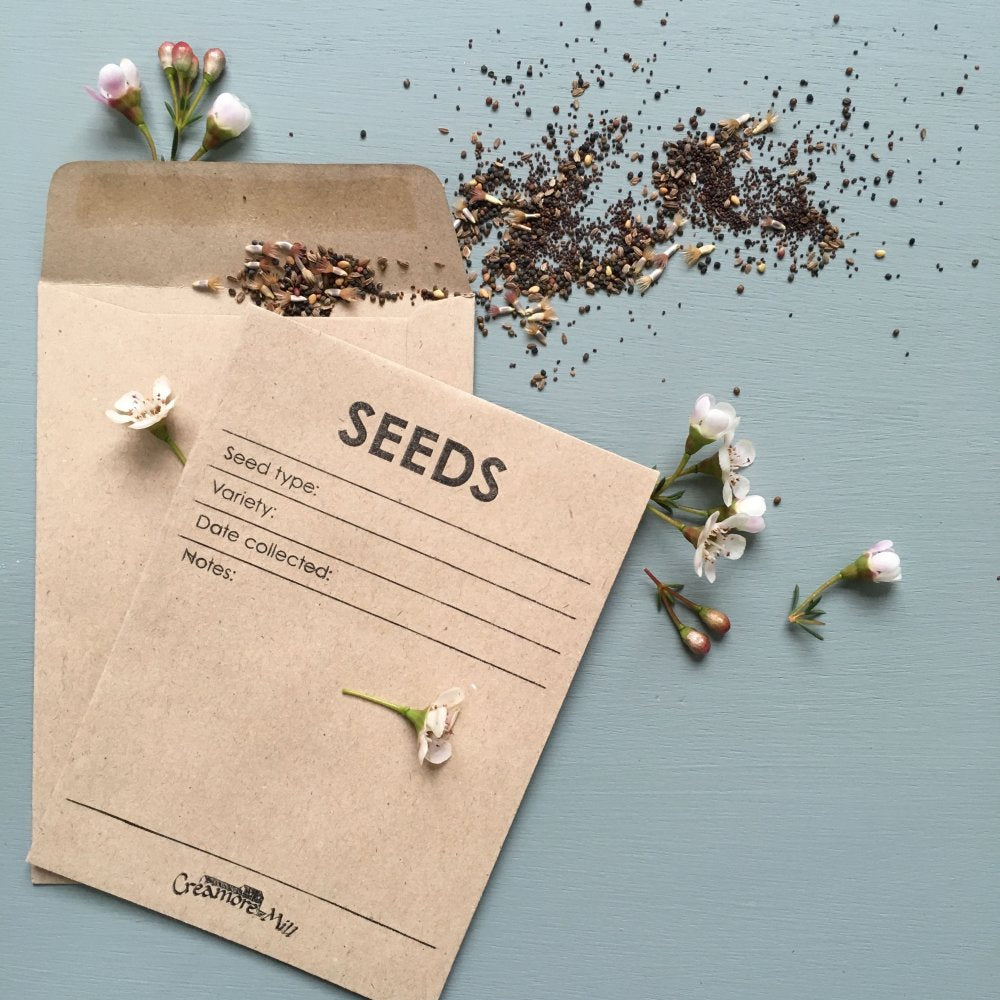 Paper envelopes with seeds