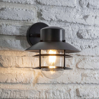 Deep carbon downward-facing wall mounted light with caging around glass shade.