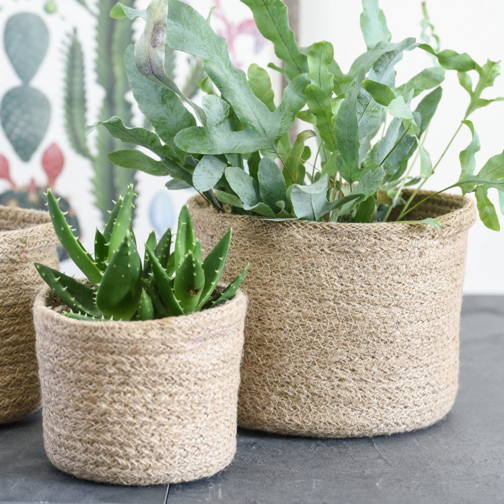 Woven jute plant pots with waterproof lining in set of three sizes that nest into one-another